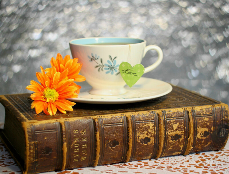 Tea Cup on Book — Brown, Serene