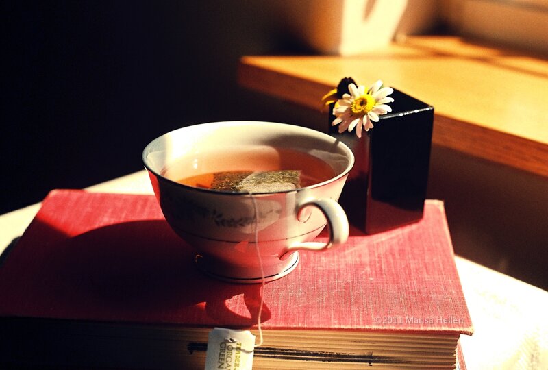 Tea Cup on Book — Red, Serene