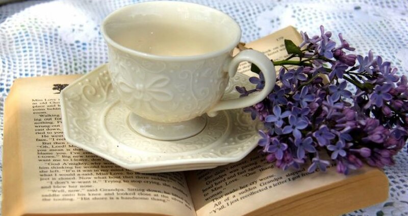 Tea Cup on Book — White, Serene, Photograph, Flowers