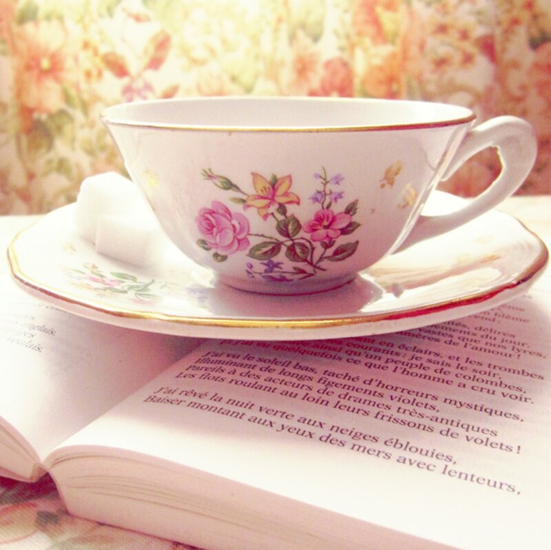 Tea Cup on Book — White, Serene, Photograph, Sugar Cubes