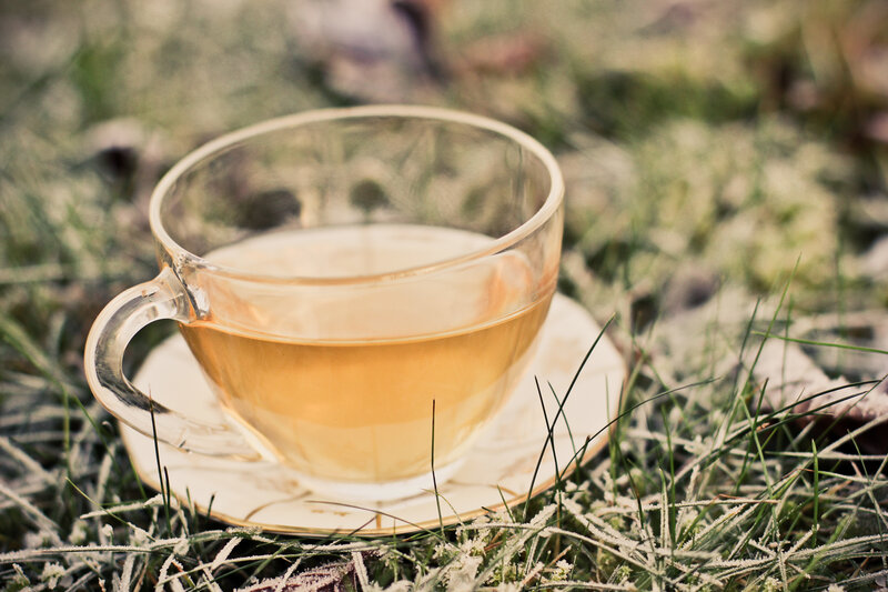 Tea Cup on Frosty Grass