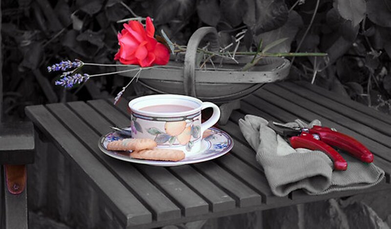 Tea Cup on Table