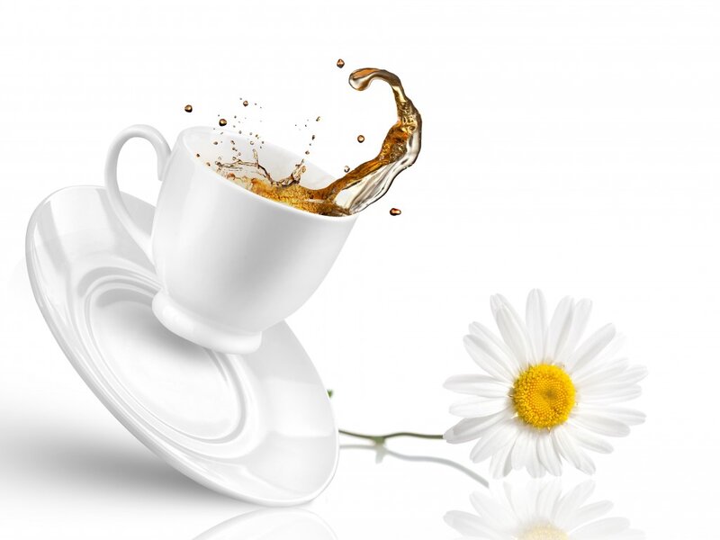Tea Cup Splashing — White