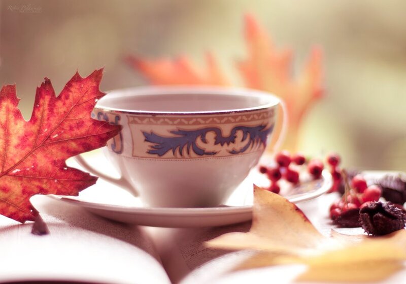 Tea Cup with Autumn Leaves — Red