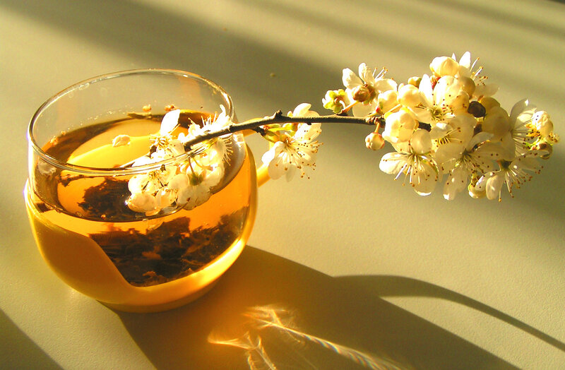 Tea Cup with Blossoms