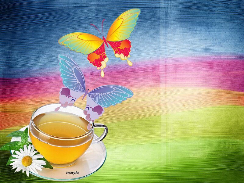 Tea Cup with Butterflies