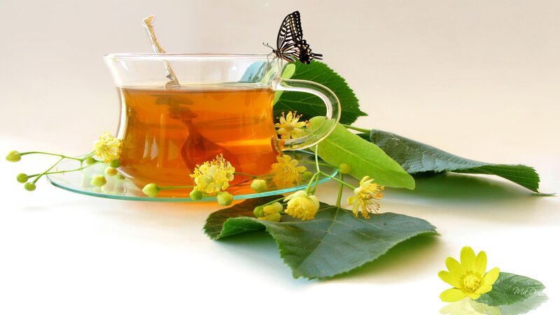 Tea Cup with Butterfly