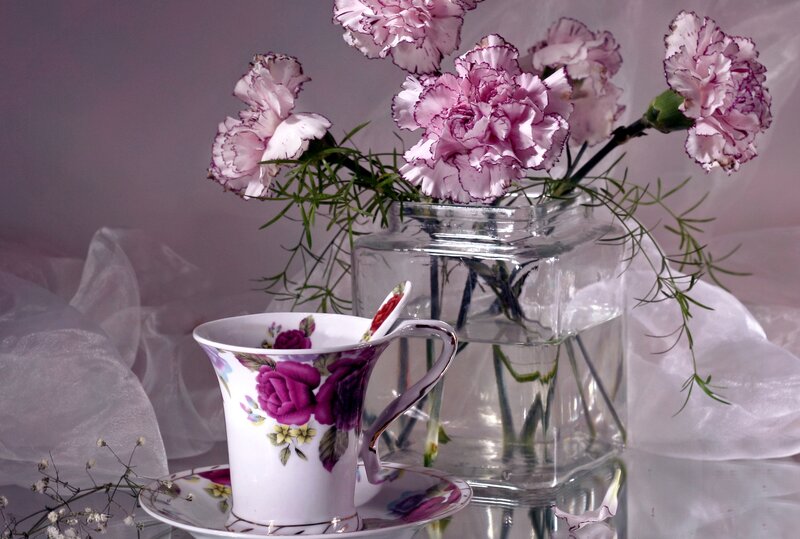 Tea Cup with Carnations — Pink, Serene