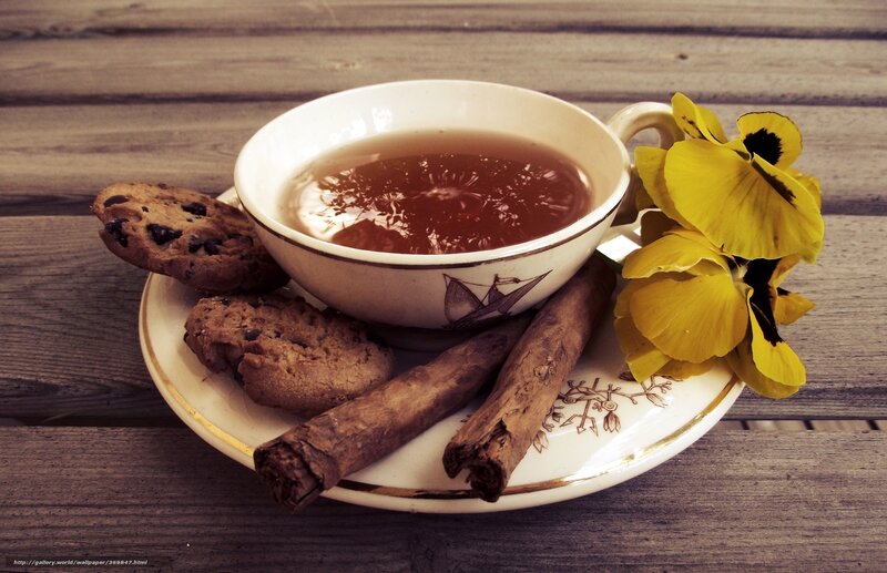 Tea Cup with Cookies — Brown, Cozy