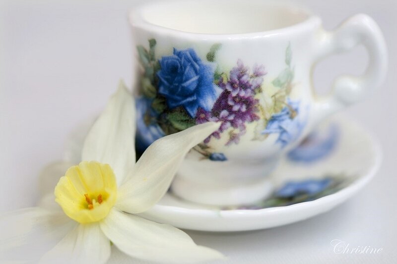 Tea Cup with Daffodil