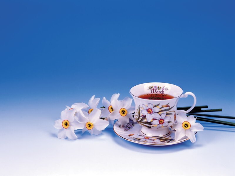 Tea Cup with Daffodils — Blue, Serene, Spring