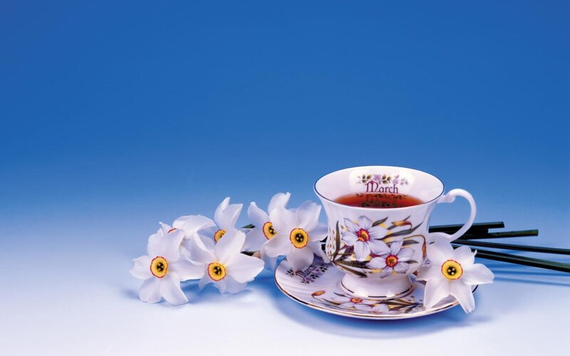 Tea Cup with Daffodils — Blue, Serene