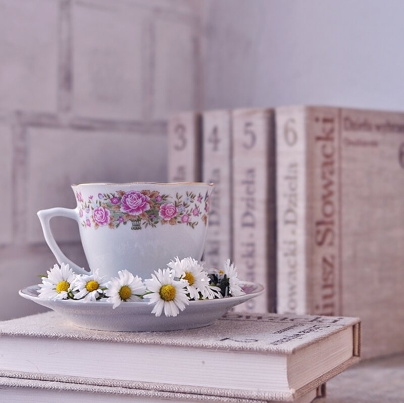 Tea Cup with Daisies — White, Serene, Photograph