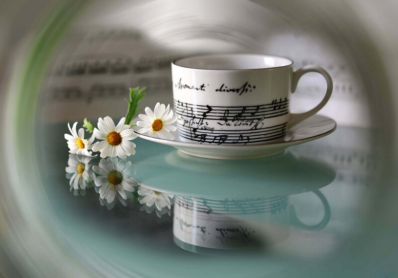 Tea Cup with Daisies — White, Serene