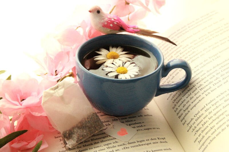 Tea Cup with Flowers — Blue