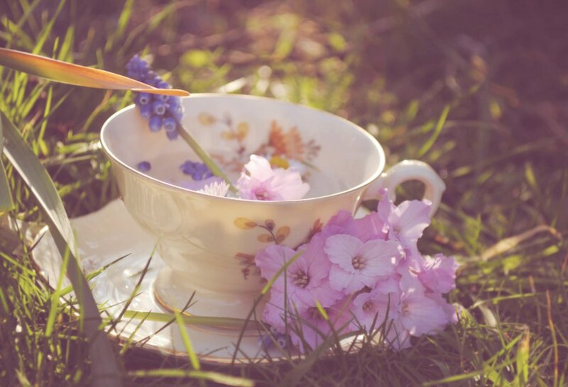 Tea Cup with Flowers — Pink, Serene, Afternoon