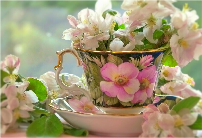 Tea Cup with Flowers — Pink, Serene, Spring, Photograph