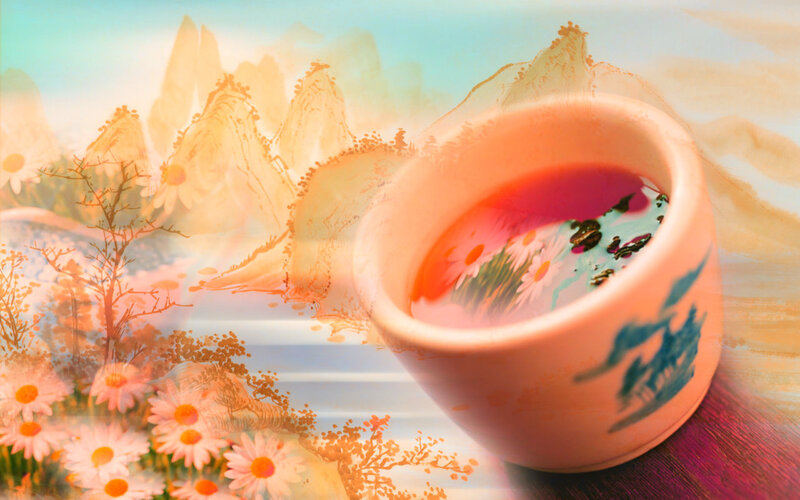 Tea Cup with Flowers — Pink, Serene, Sunset