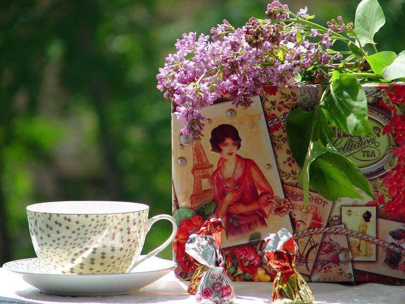 Tea Cup with Flowers — Purple, Serene, Afternoon, Photograph
