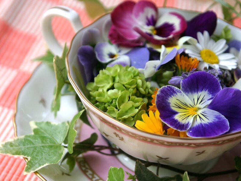 Tea Cup with Flowers — Purple, Serene, Afternoon