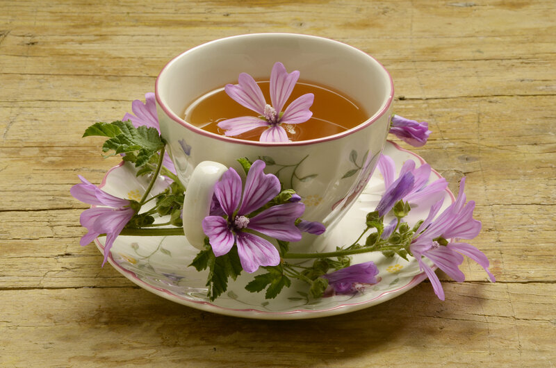 Tea Cup with Flowers — Purple, Serene, Photograph, Saucer