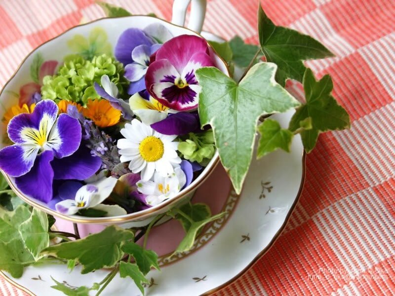 Tea Cup with Flowers — White, Calm