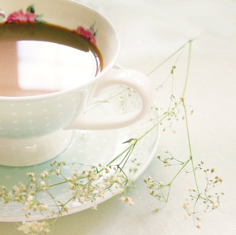 Tea Cup with Flowers — White, Serene, Morning, Photograph, Saucer