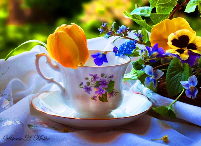 Tea Cup with Flowers — White, Serene, Morning, Photograph, Tulip