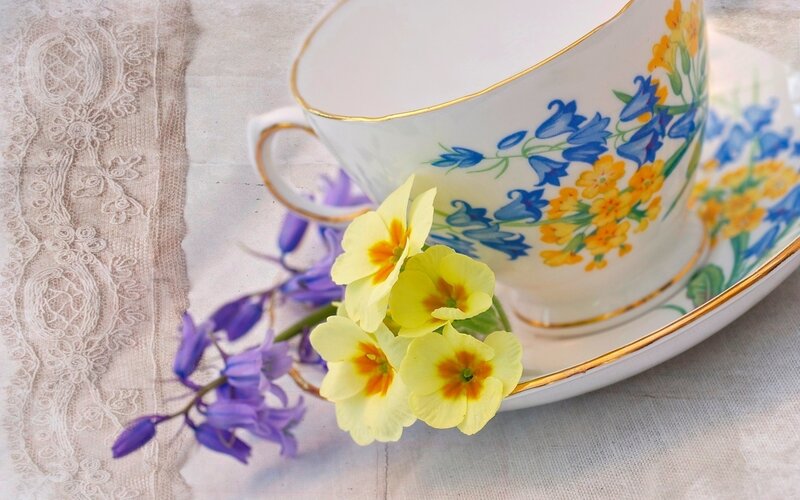Tea Cup with Flowers — White, Serene, Spring, Photograph, Lace