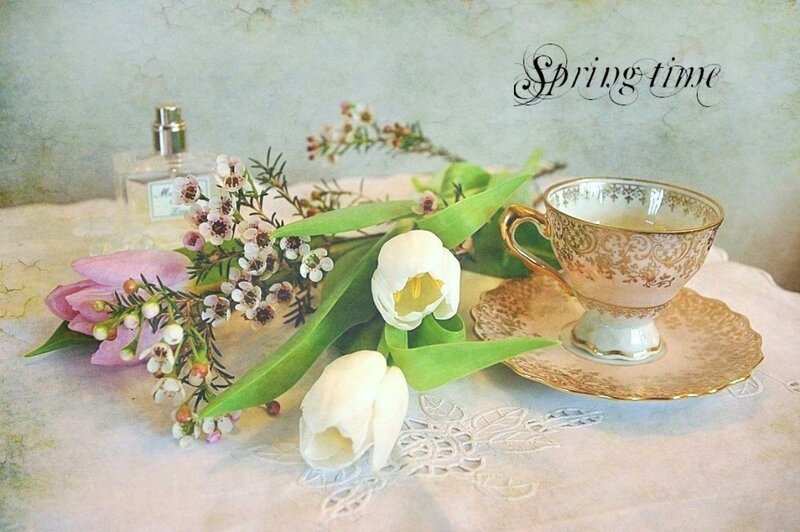 Tea Cup with Flowers — White, Serene, Spring, Photograph
