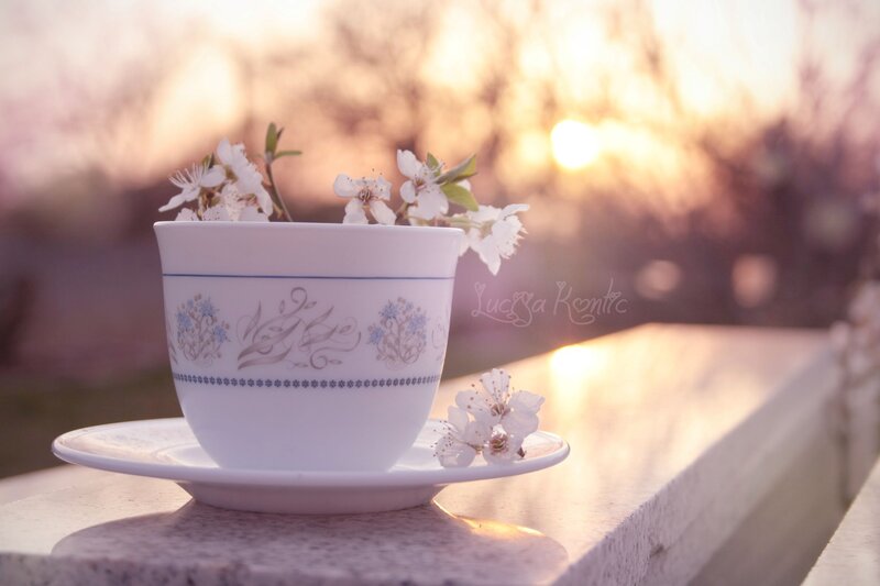 Tea Cup with Flowers — White, Serene, Sunset