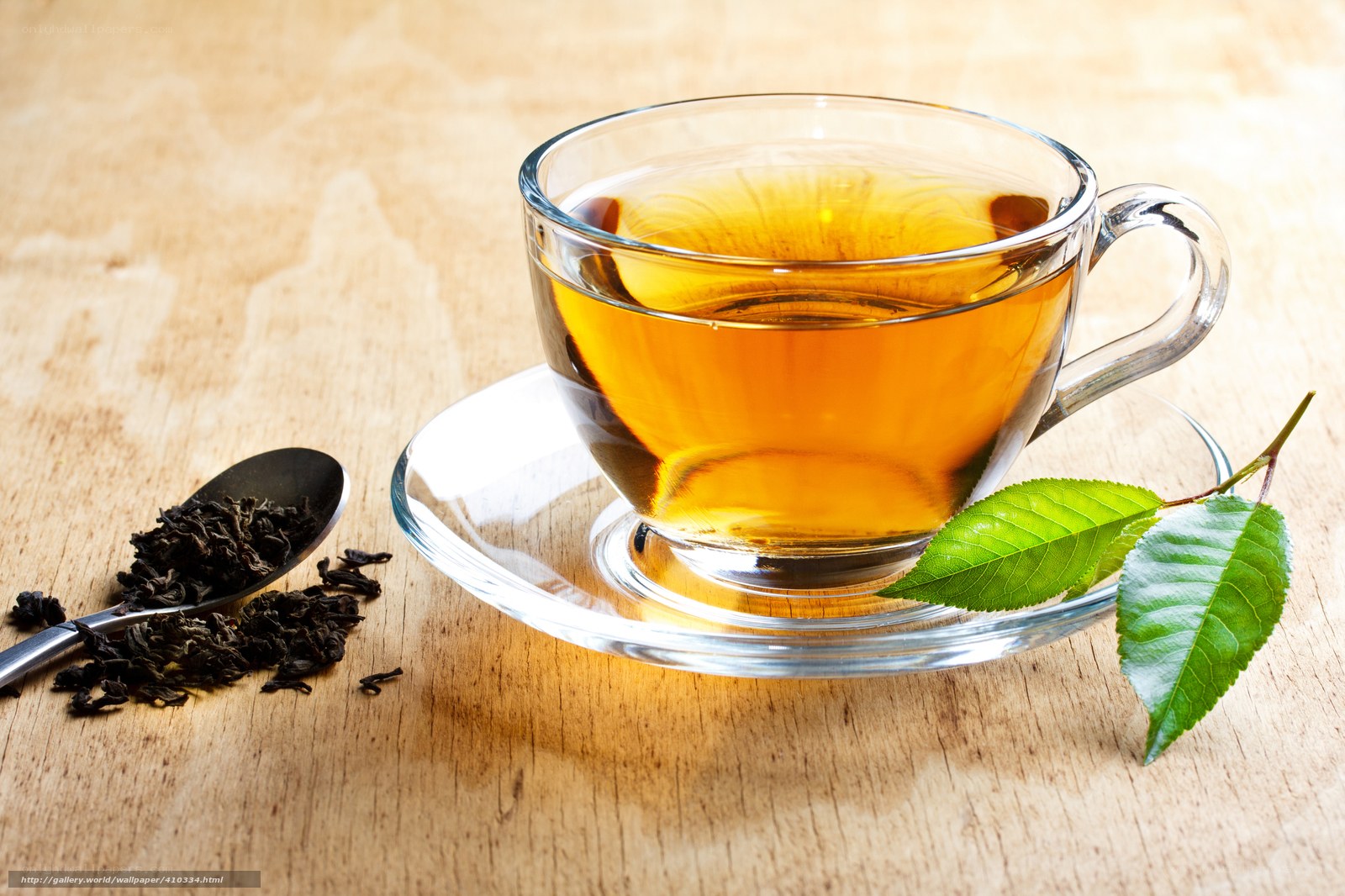 Tea cup with green leaves