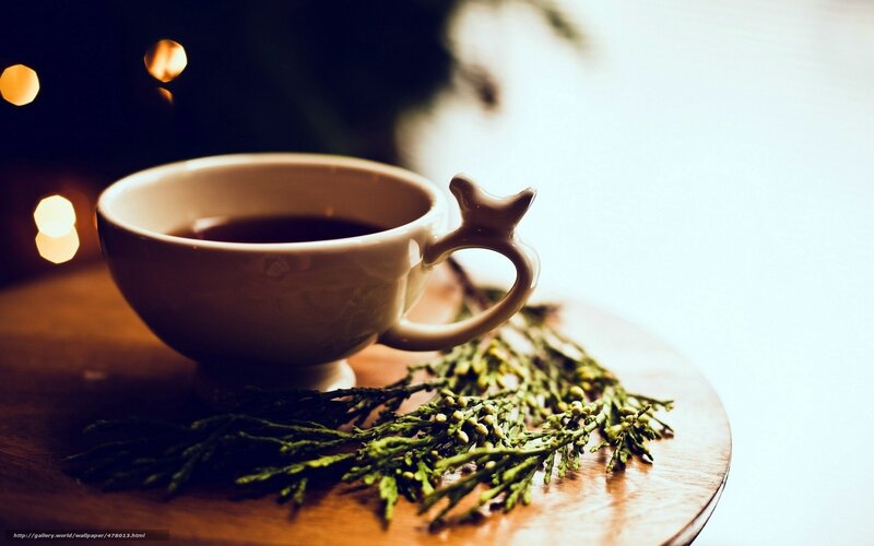 Tea cup with greenery