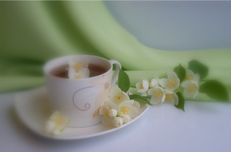 Tea Cup with Jasmine Flowers