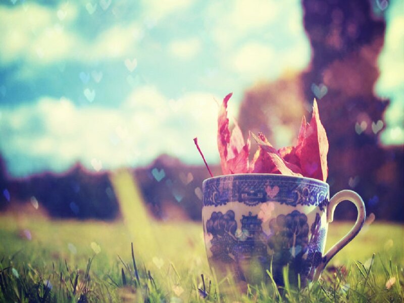 Tea Cup with Leaves — Blue