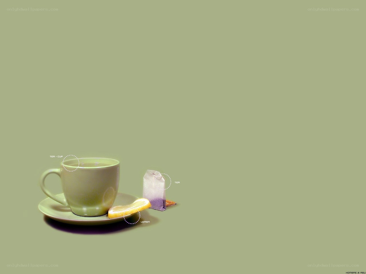 Tea cup with lemon slice