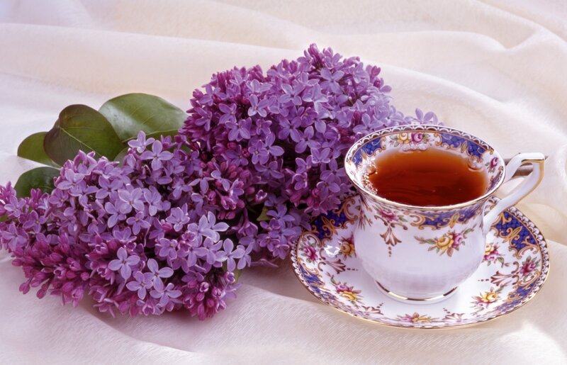 Tea Cup with Lilacs — Purple