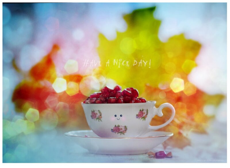 Tea Cup with Pomegranate
