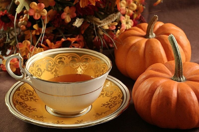 Tea Cup with Pumpkins — Orange