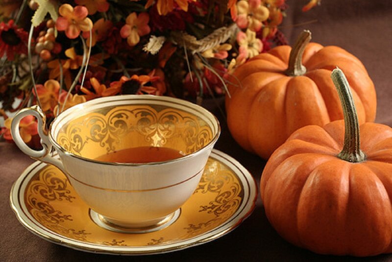 Tea Cup with Pumpkins