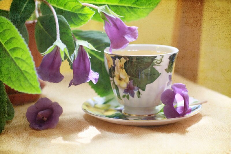 Tea Cup with Purple Flowers — Serene, Afternoon