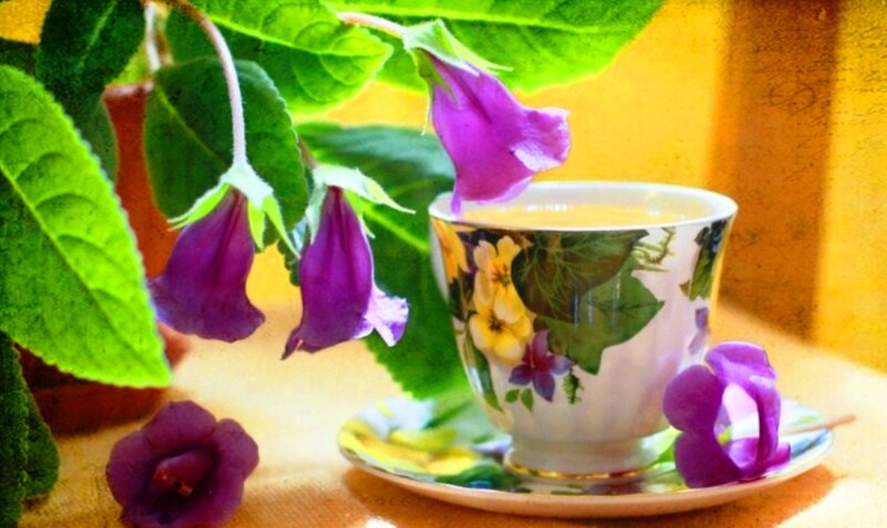 Tea Cup with Purple Flowers — Serene, Morning