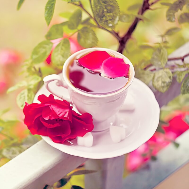 Tea Cup with Rose Petals — Red