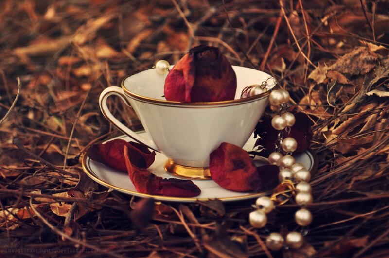 Tea Cup with Rose Petals — White, Melancholic, Autumn