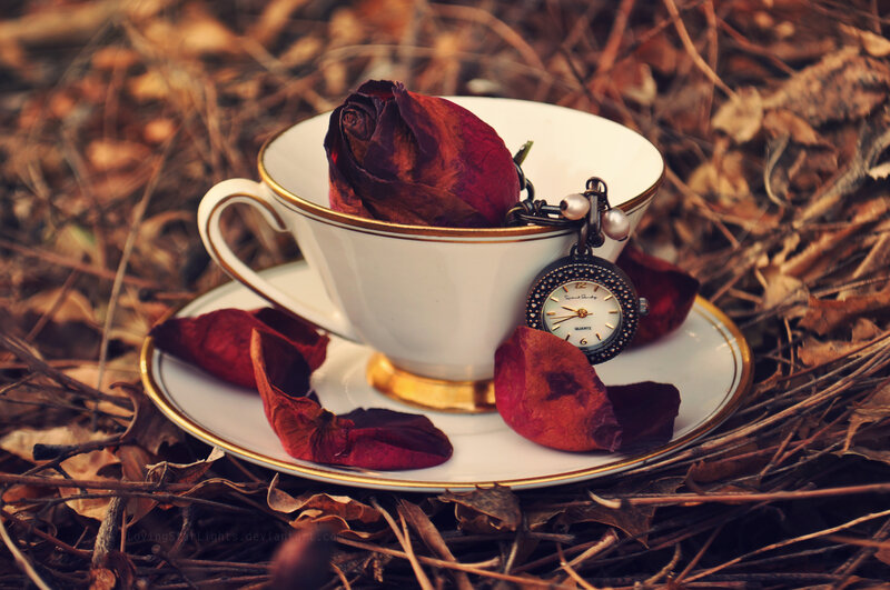 Tea Cup with Rose Petals — White, Melancholic