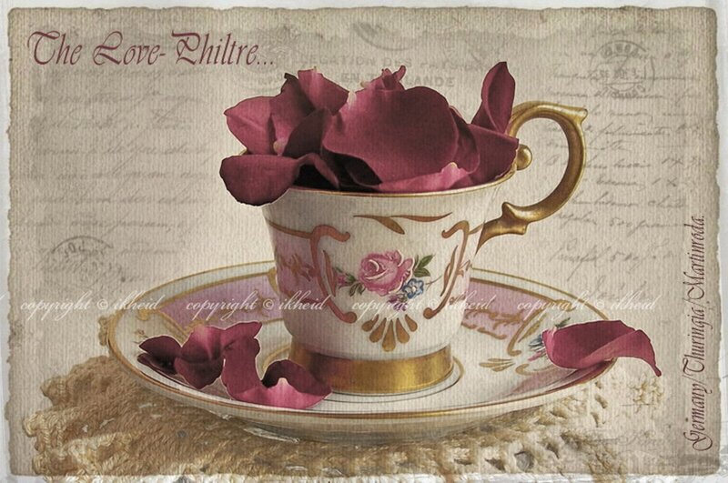 Tea Cup with Rose Petals — White, Romantic