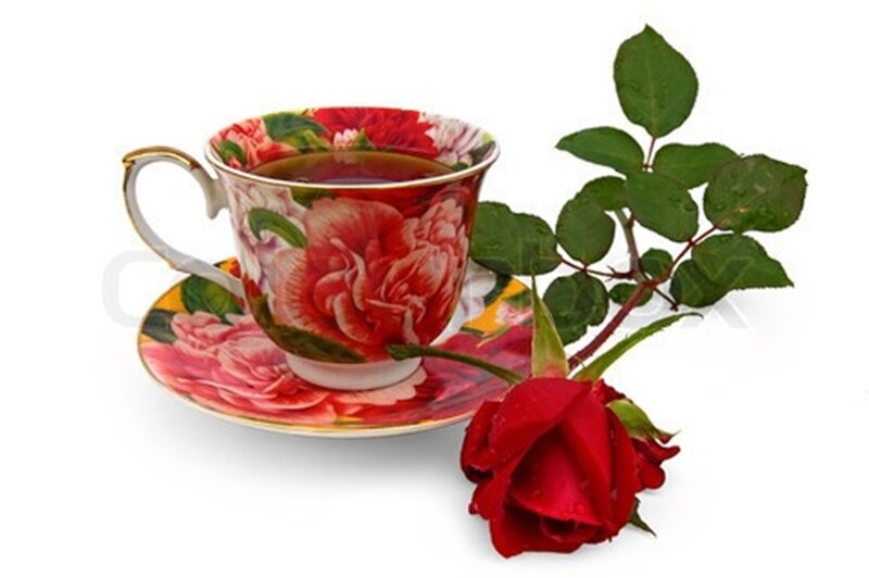 Tea Cup with Rose — Red, Serene