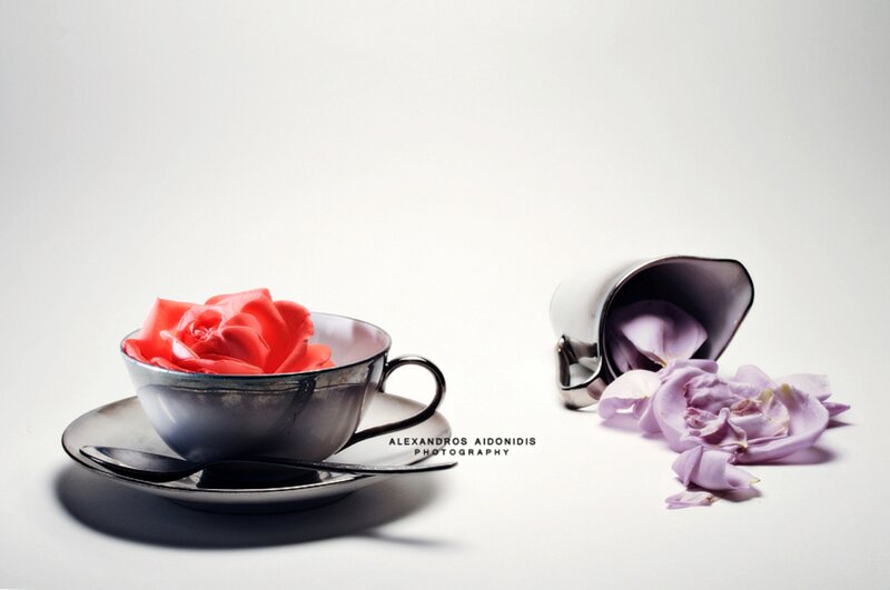 Tea Cup with Rose — White, Minimalist