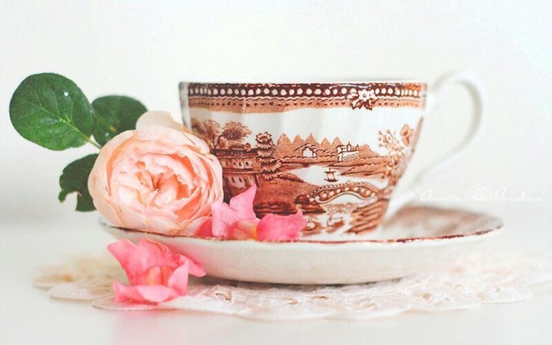 Tea Cup with Rose — White, Serene, Photograph, Saucer