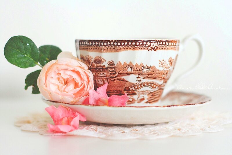 Tea Cup with Rose — White, Serene, Photograph